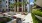 a courtyard with palm trees and chairs